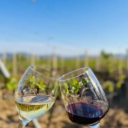 House Of Wine Susac *