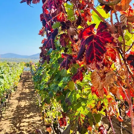 Holiday home House Of Wine Susac
